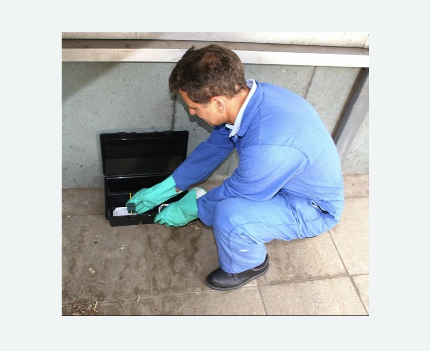 Дератизация помещения в Рославле Дератизация помещения