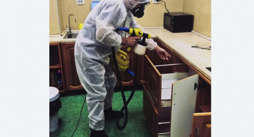 Уничтожение насекомых в квартире. Рославль