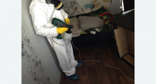 Обработка квартир от насекомых в Рославле