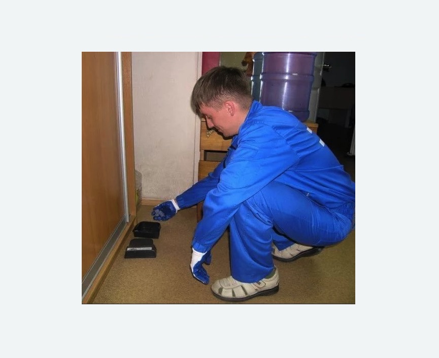 Дератизация крыс Дератизация крыс в Рославле