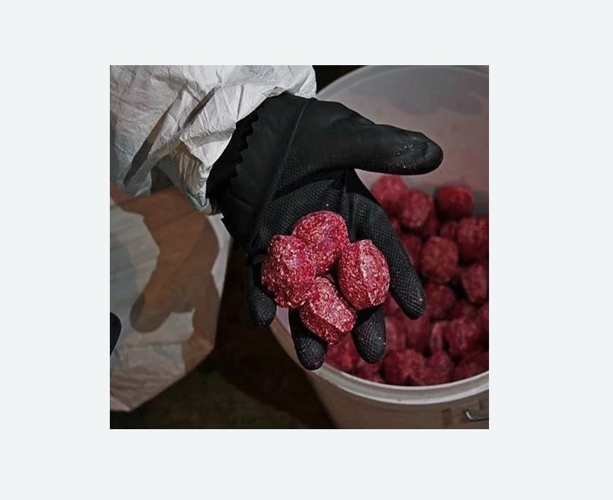 Обработка от крыс Обработка от крыс в Рославле