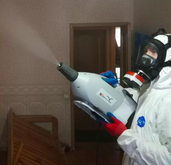 дезинсекция помещения в Рославле