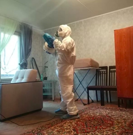 дезинсекция квартиры в Рославле