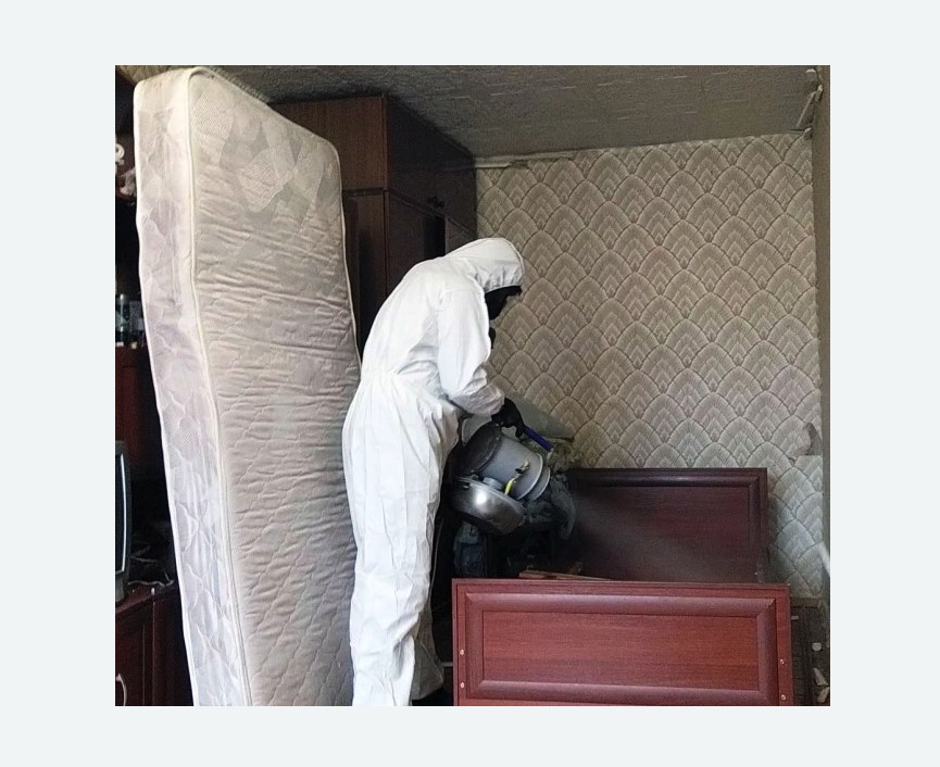 дезинфекция от клопов в Рославле