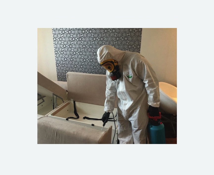 уничтожение клопов в квартире в Рославле