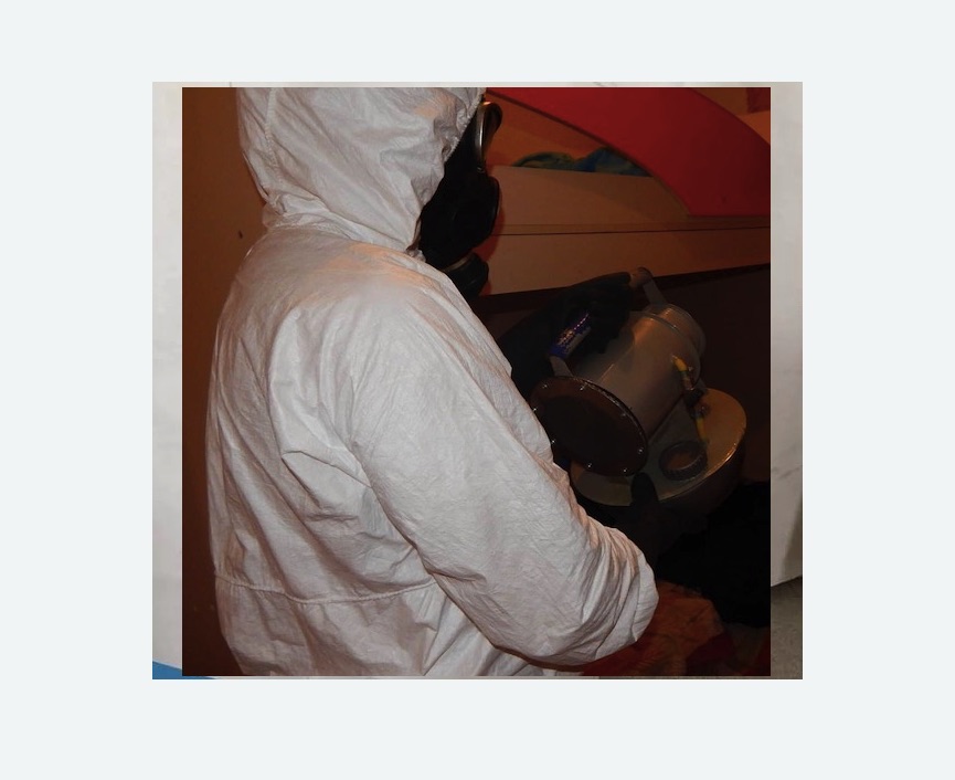 Дезинфекция от муравьев в Рославле