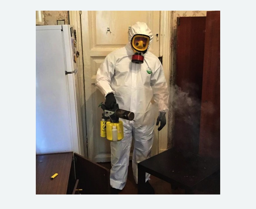 уничтожение муравьев в квартире в Рославле